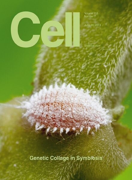 Cell — 20 June 2013