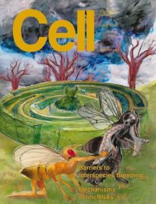 Cell – 3 July 2013