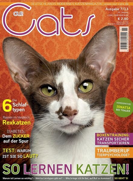 Our Cats – Juli 2013