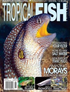 Tropical Fish Hobbyist — August 2013