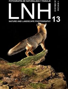 LNH #13 – June-July 2013