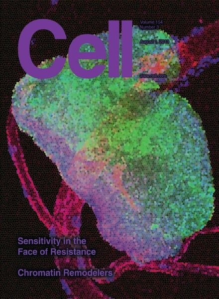 Cell – 1 August 2013
