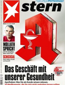 Der Stern — 15 August 2013
