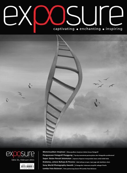 Exposure – Issue 31, 2011