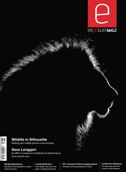 Exposure – Issue 55, 2013