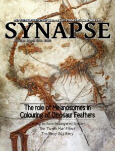 Synapse Science Magazine 4