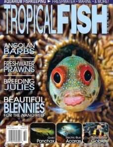 Tropical Fish Hobbyist — October 2013