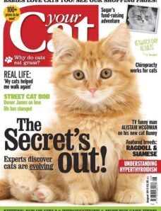 Your Cat — August 2013