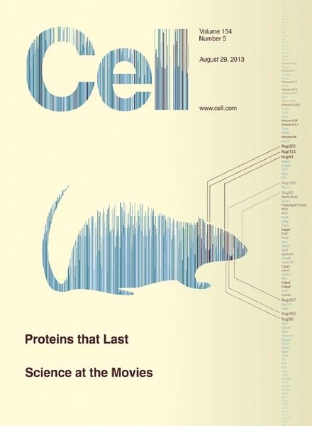 Cell – 29 August 2013