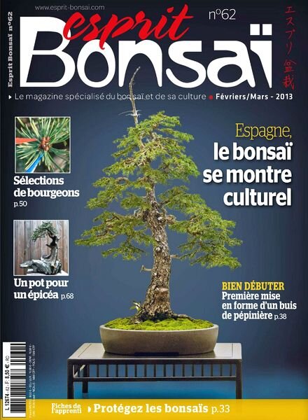 Esprit Bonsai N 62 — Fevrier-Mars 2013