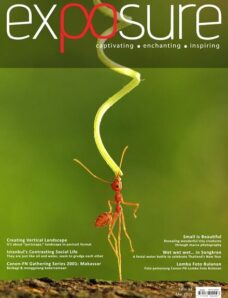 Exposure — Issue 34, 2011
