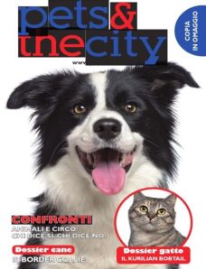 Pets & The City — N 4, 2013