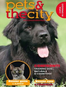 Pets & The City – N 6, 2012