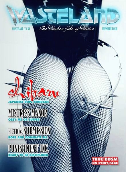 Wasteland Vol-1,Issue 1 2013