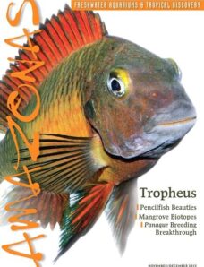 Amazonas Magazine – November-December 2013