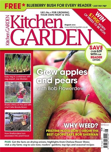 Kitchen Garden – August 2010