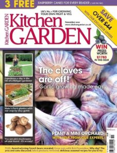 Kitchen Garden – November 2010