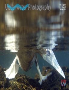 Underwater Photography Magazine 46