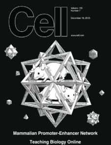 Cell – 19 December 2013