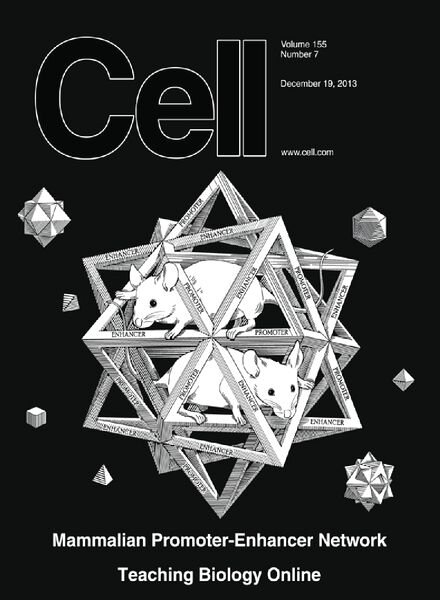 Cell – 19 December 2013