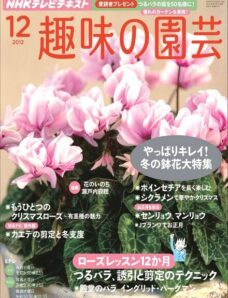 NHK Magazine December 2012