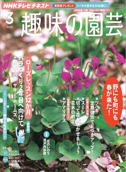 NHK Magazine March 2013