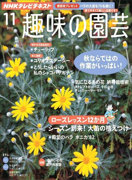 NHK Magazine — November 2012