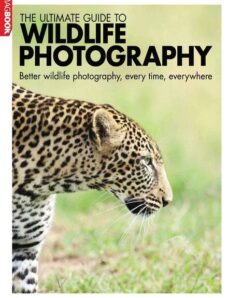 The Ultimate Guide to Wildlife Photography