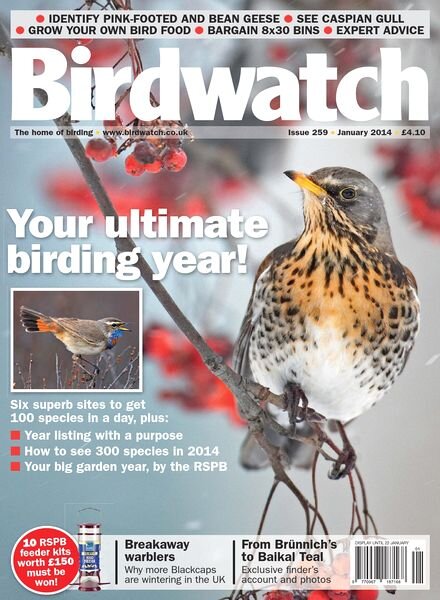 BirdWatch Magazine — January 2014