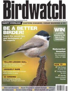 BirdWatch Magazine – November 2013