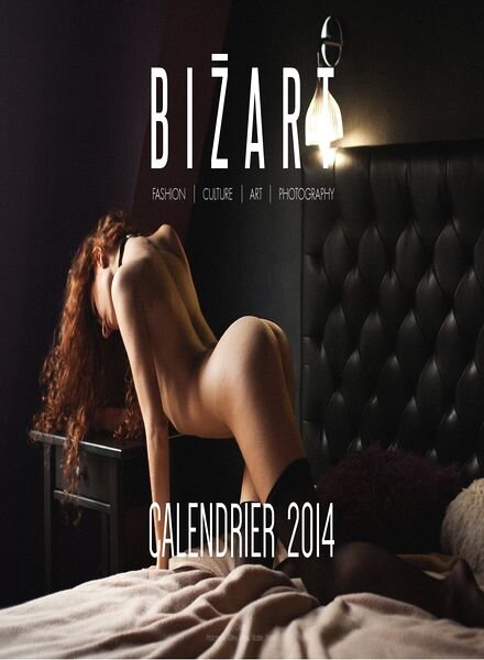 Bizart Magazine — Calendrier 2014
