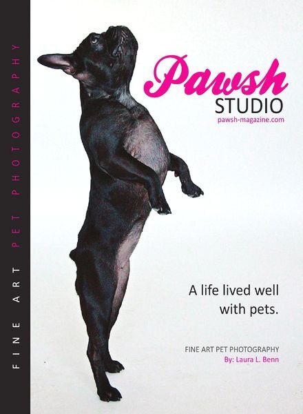 PAWSH Studio Catalogue