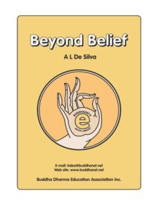 Beyond Belief – A L De Silva