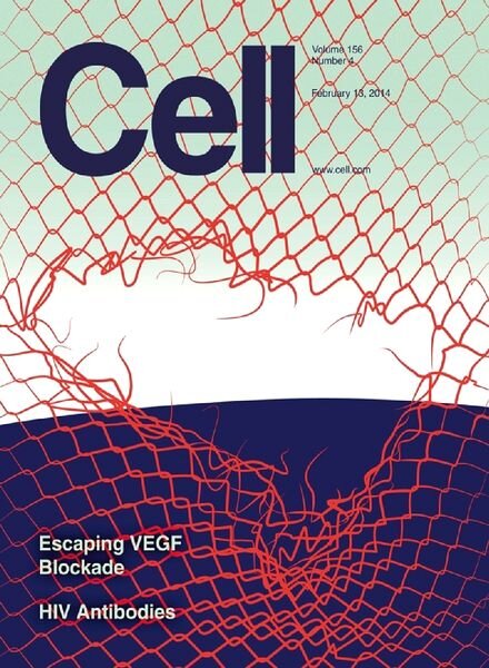 Cell — 13 February 2014