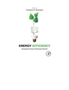 Energy Efficiency Towards the End of Demand Growth