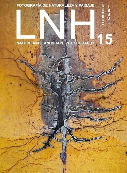 LNH Issue 15, January-February 2013