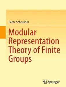 Modular Representation Theory of Finite Groups