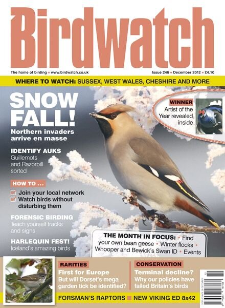 BirdWatch Magazine December 2012