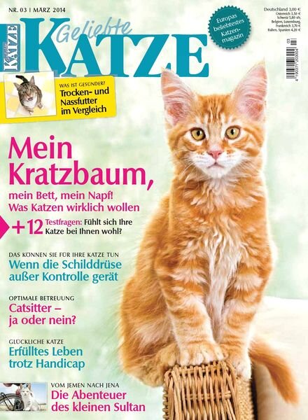 Geliebte Katze – Marz 03, 2014