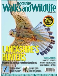Lancashire Walks and Wildlife – January 2014