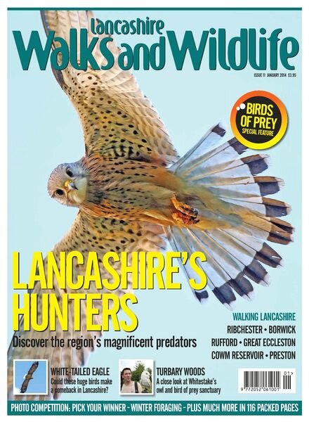 Lancashire Walks and Wildlife — January 2014