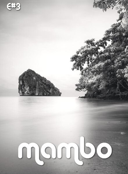 Mambo E – N 3, 2014