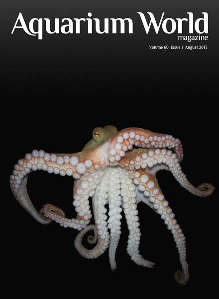 Aquarium World Magazine — August 2013