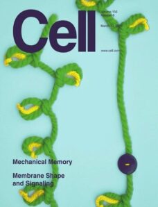 Cell – 13 March 2014