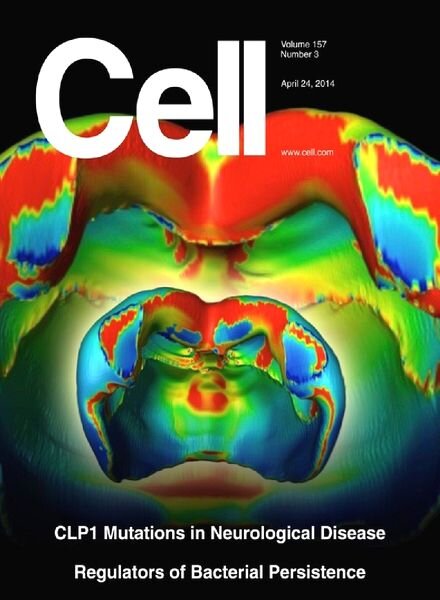 Cell – 24 April 2014