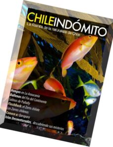 Chile Indomito – Mayo 2014