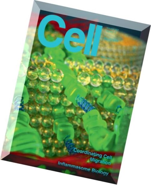 Cell – 22 May 2014