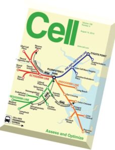 Cell – 14 August 2014