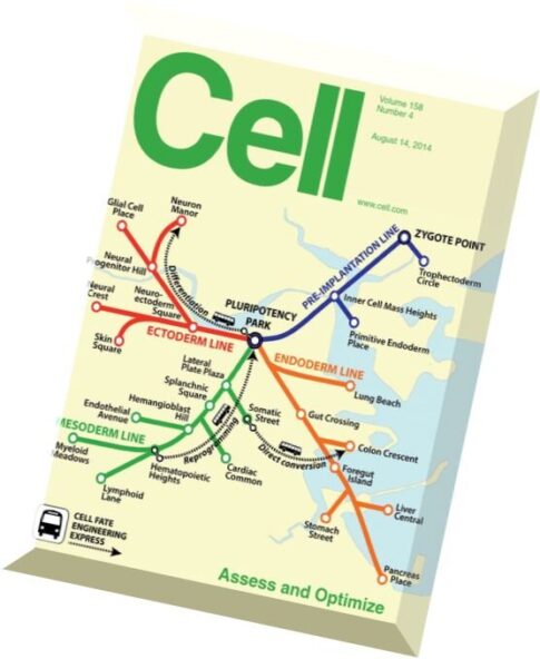 Cell – 14 August 2014