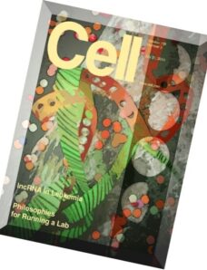 Cell — 31 July 2014